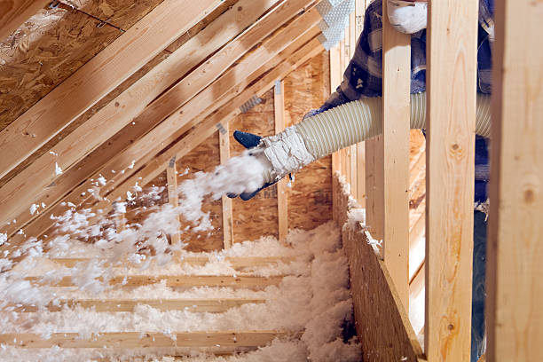 Best Insulation Air Sealing in Pisgah, AL